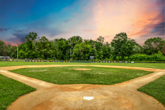 LL_Field